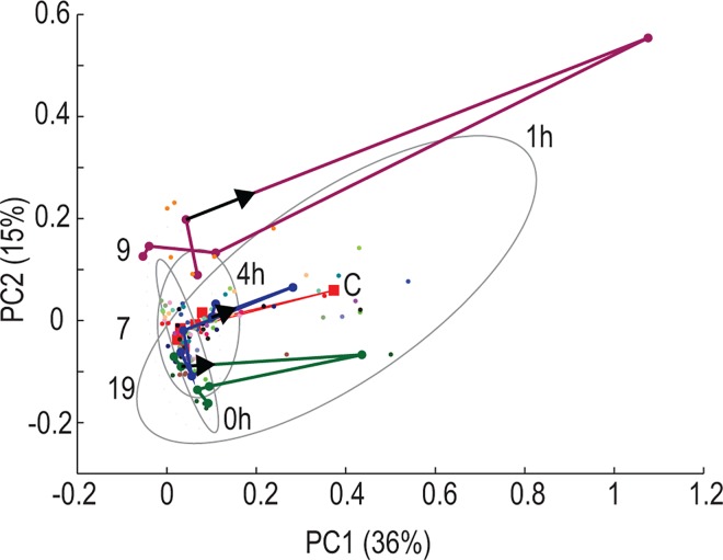 Fig 5