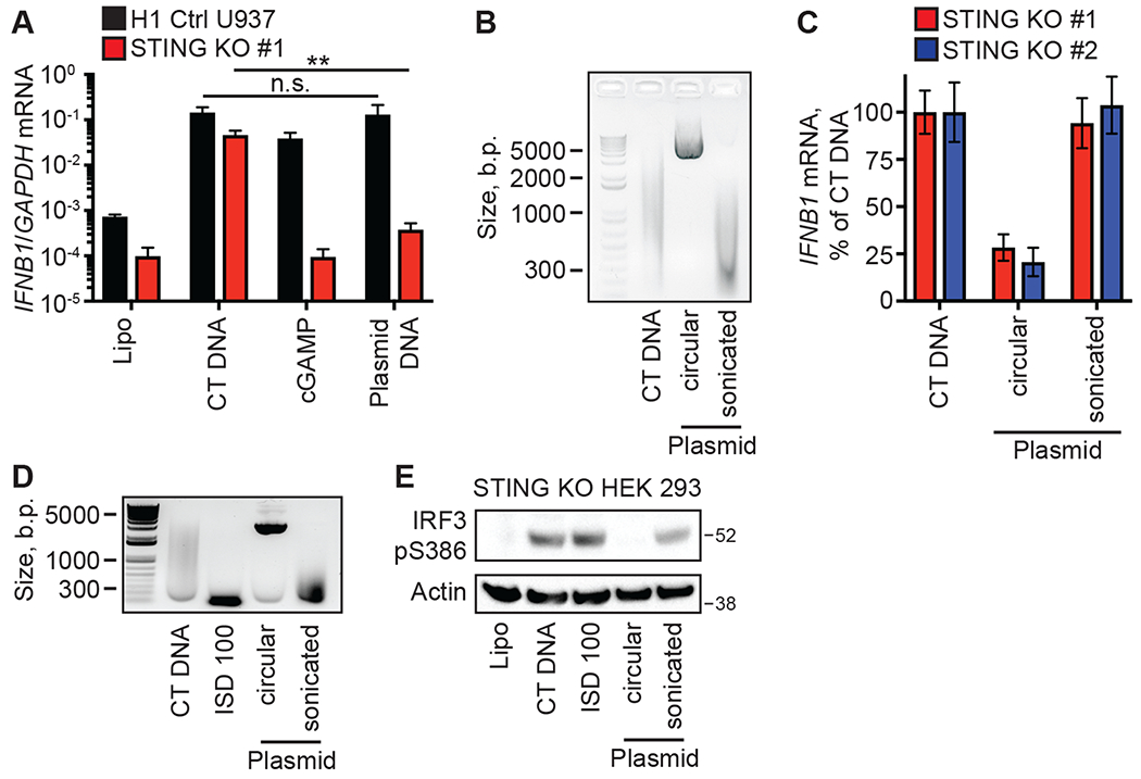 Figure 3: