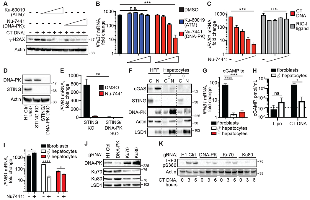 Figure 4: