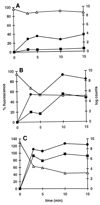 FIG. 7