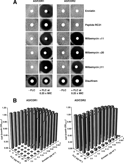 FIG. 2.