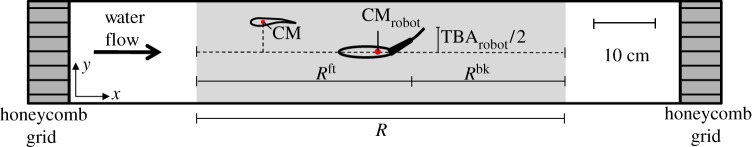 Figure 4.