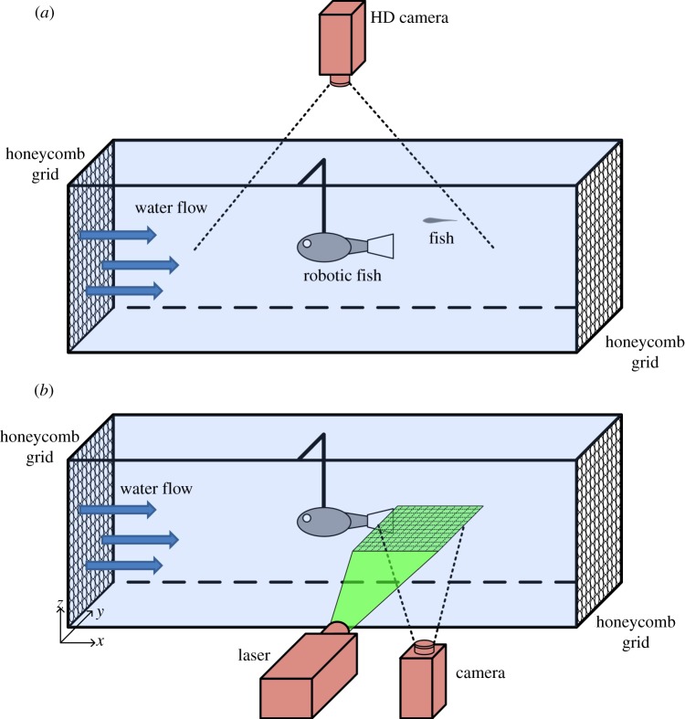 Figure 2.