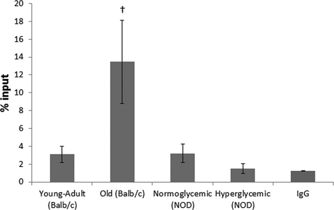 FIGURE 6: