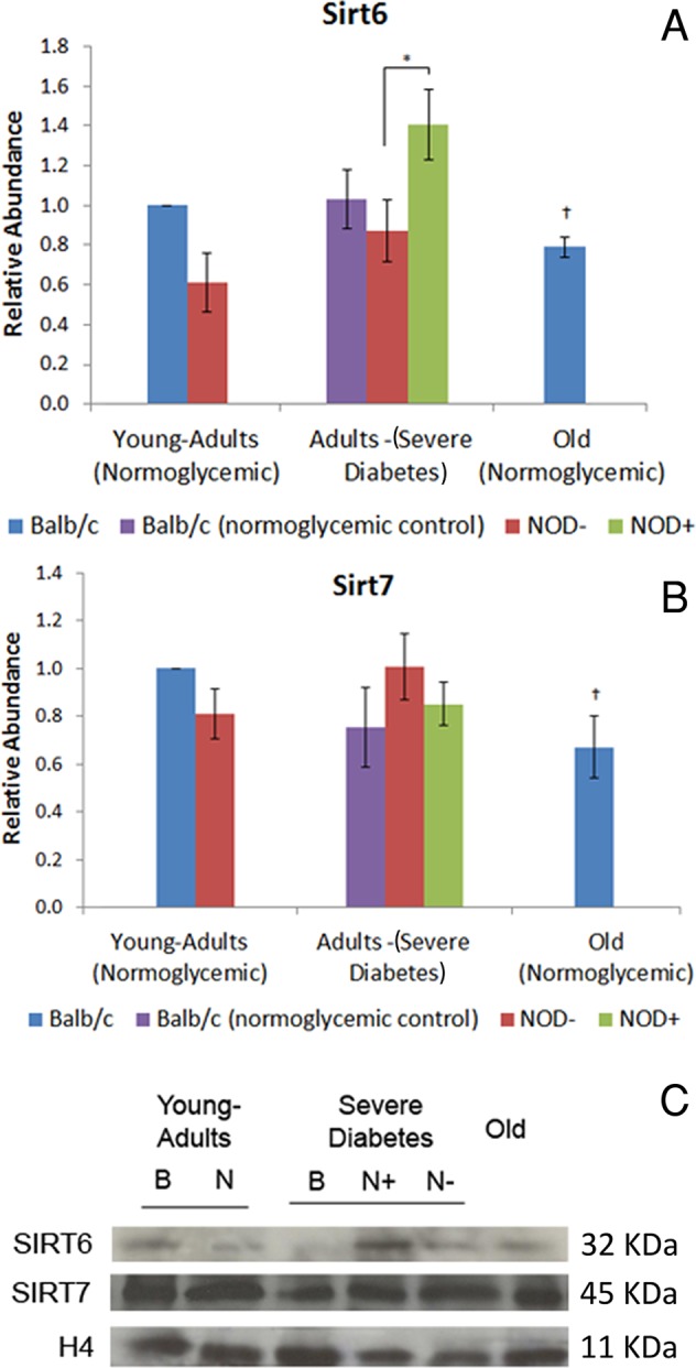 FIGURE 4: