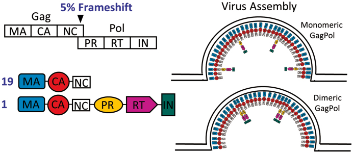 Figure 6.