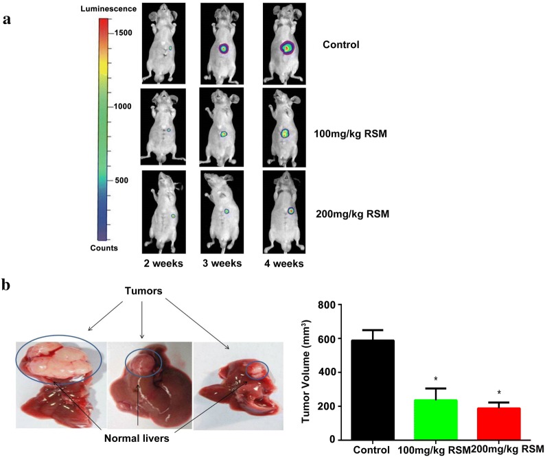 Fig. 11