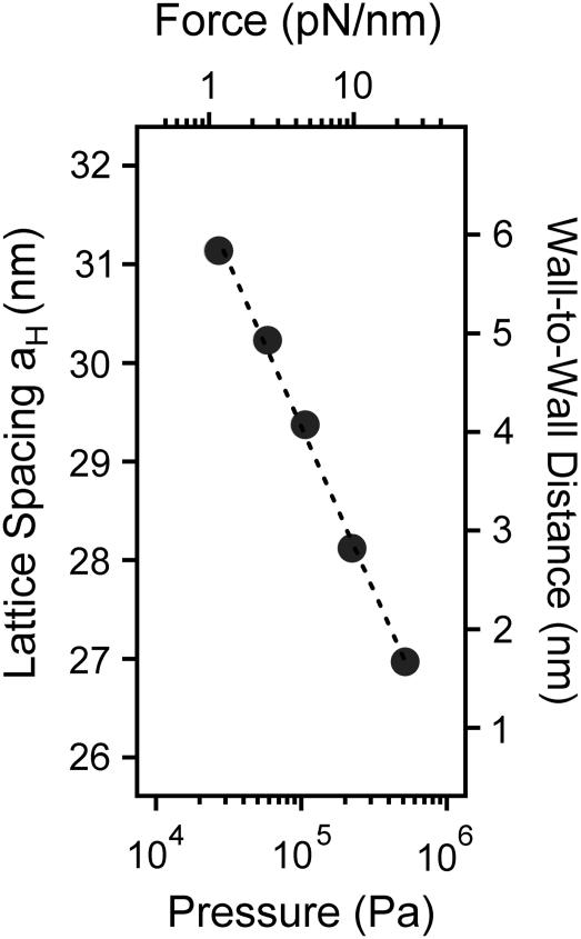 FIGURE 11