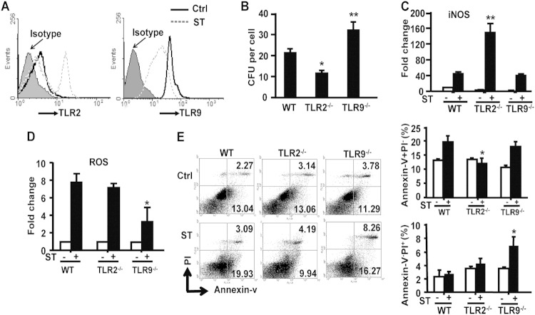 FIG 4