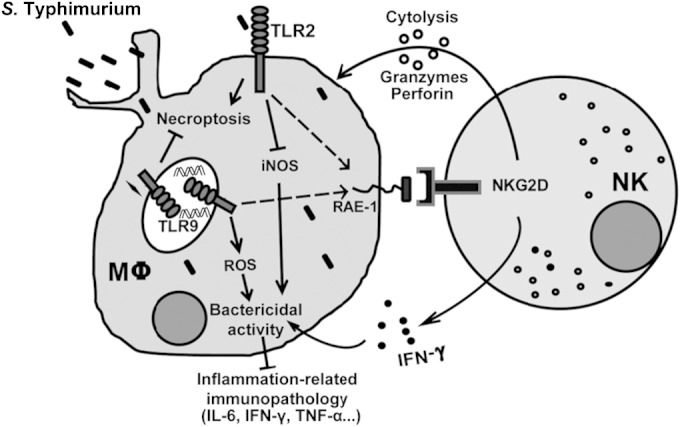 FIG 7