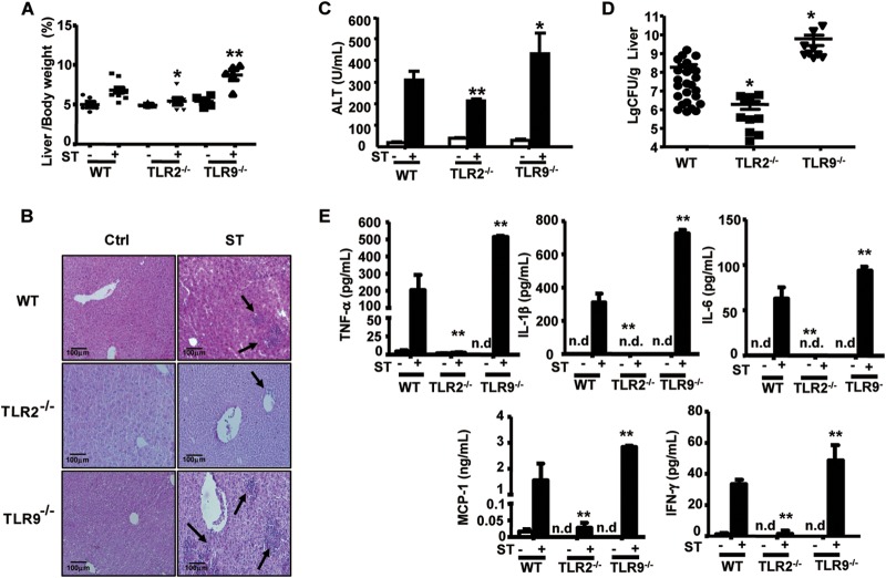 FIG 3