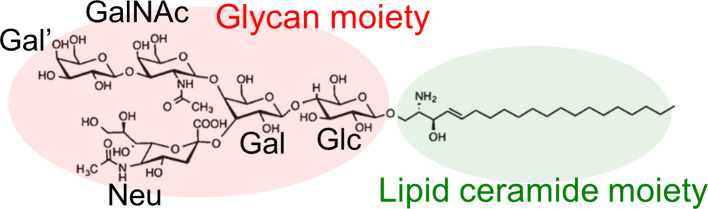 Figure 2 