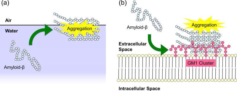 Figure 1 