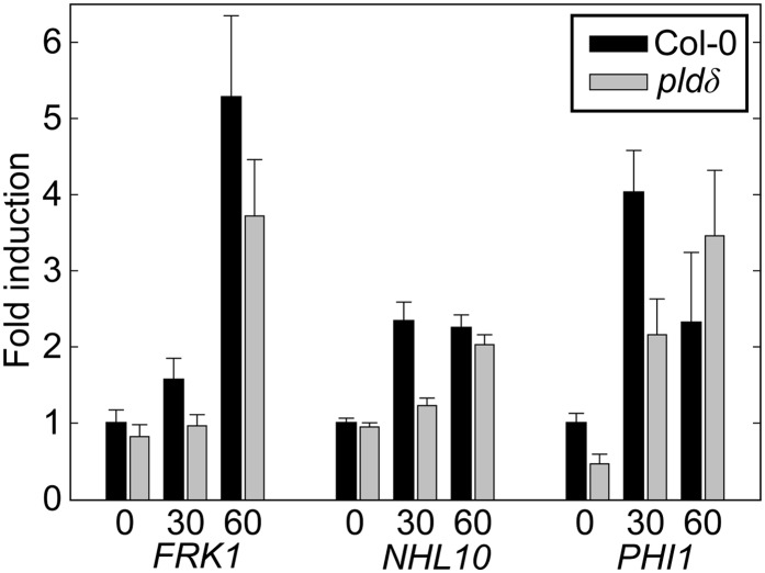 Figure 5.