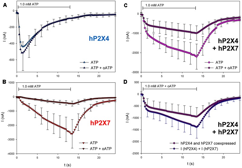 FIGURE 11