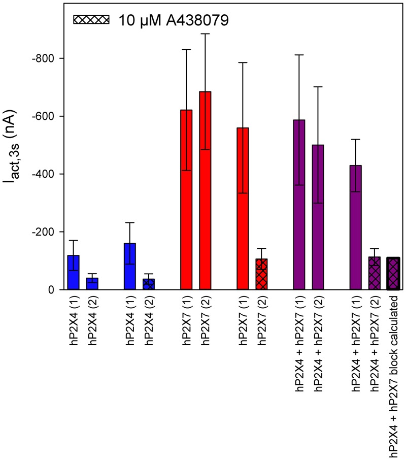 FIGURE 12