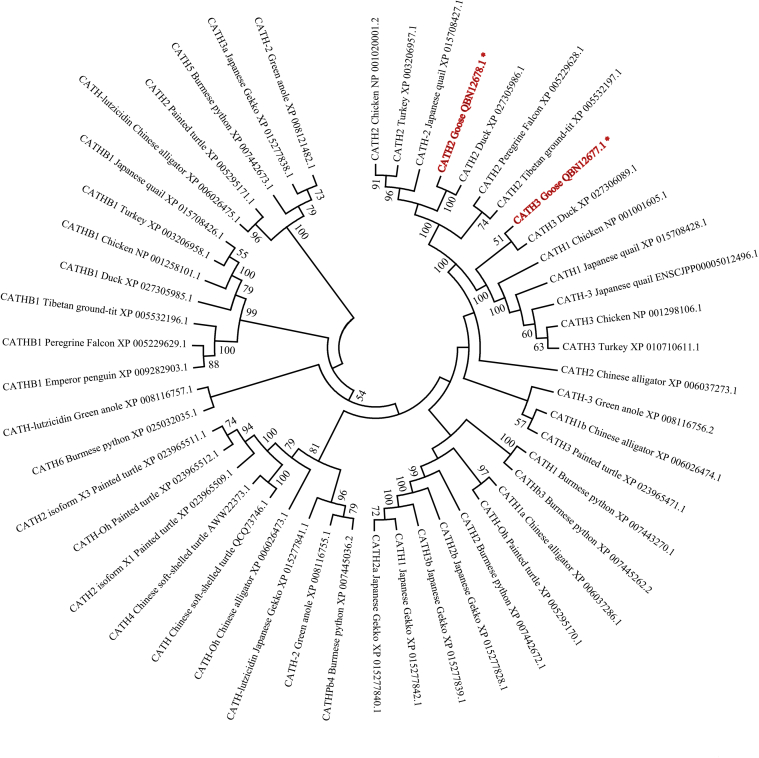 Figure 3