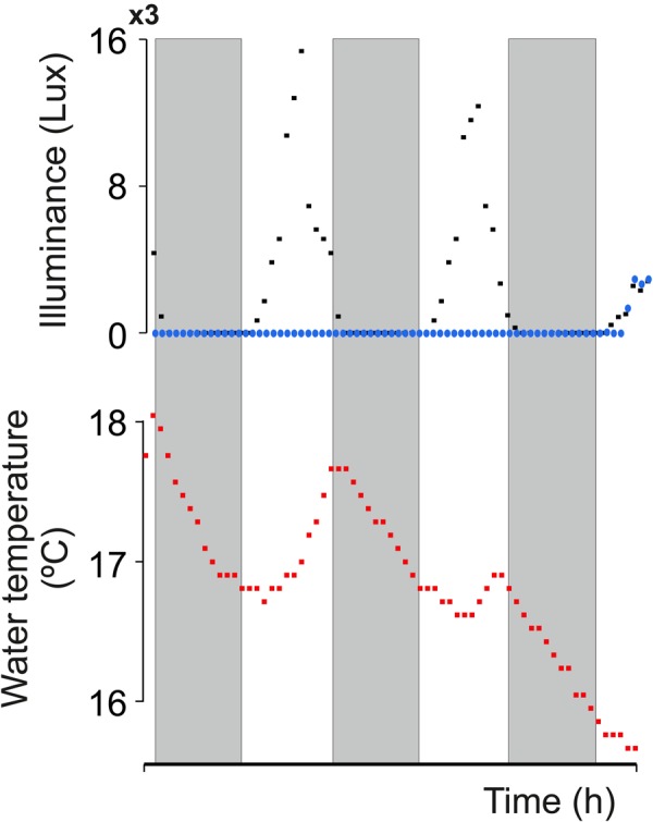 Fig. 3.