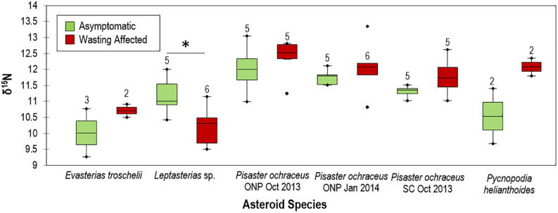 FIGURE 11