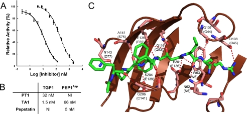 FIGURE 5.