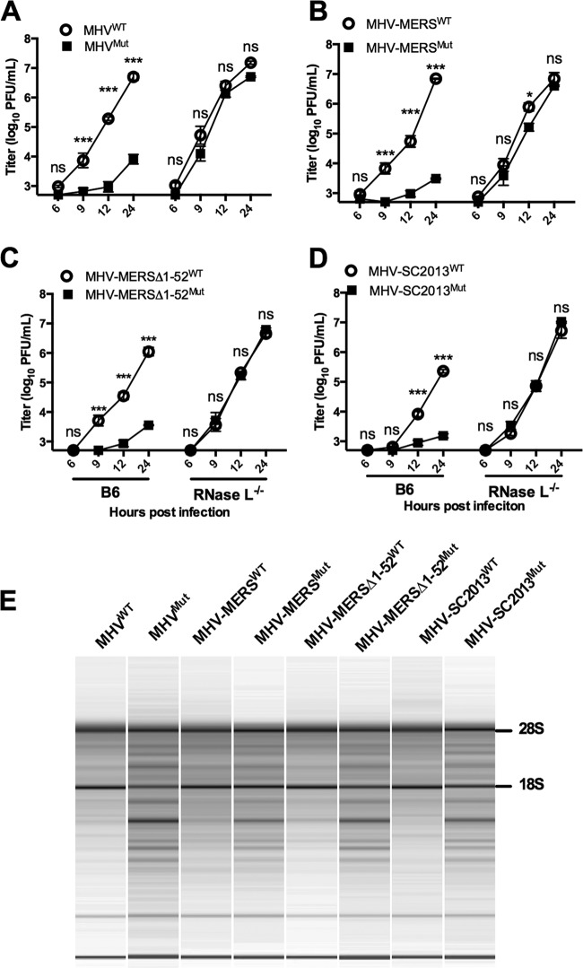 FIG 6 