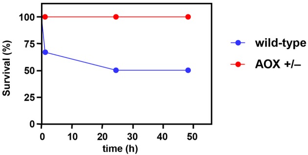 Fig. 5.