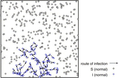 Effects of superspreaders in spread of epidemic - PMC