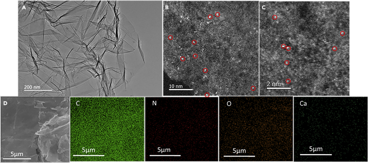 Figure 1