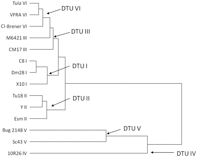 Figure 6