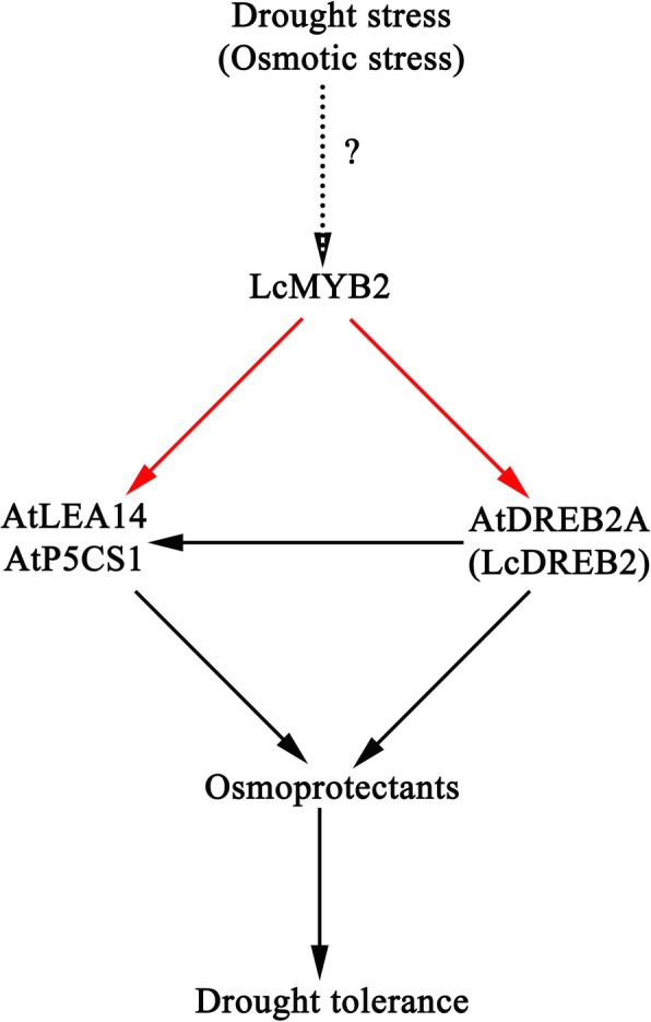 Fig. 9