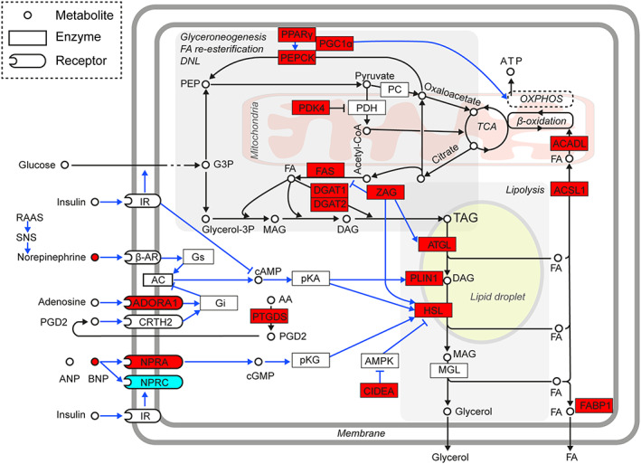 FIGURE 3