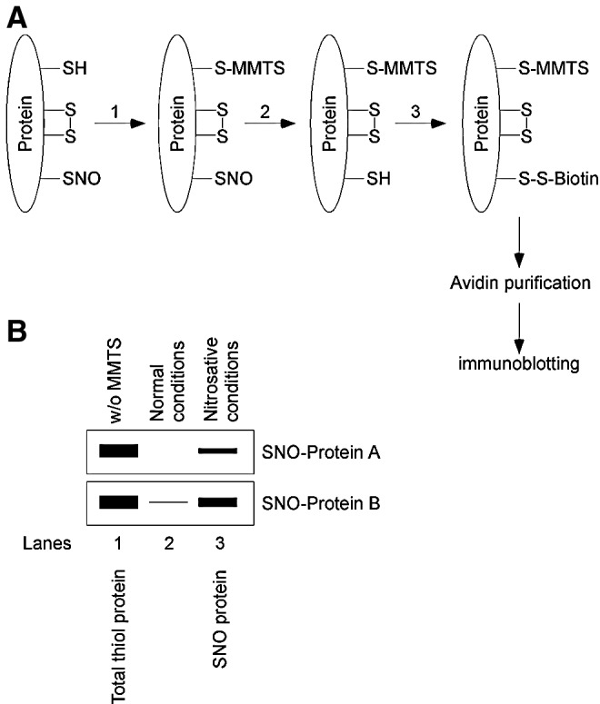 FIG. 6.