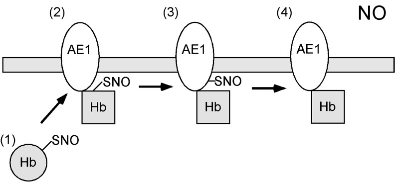 FIG. 1.