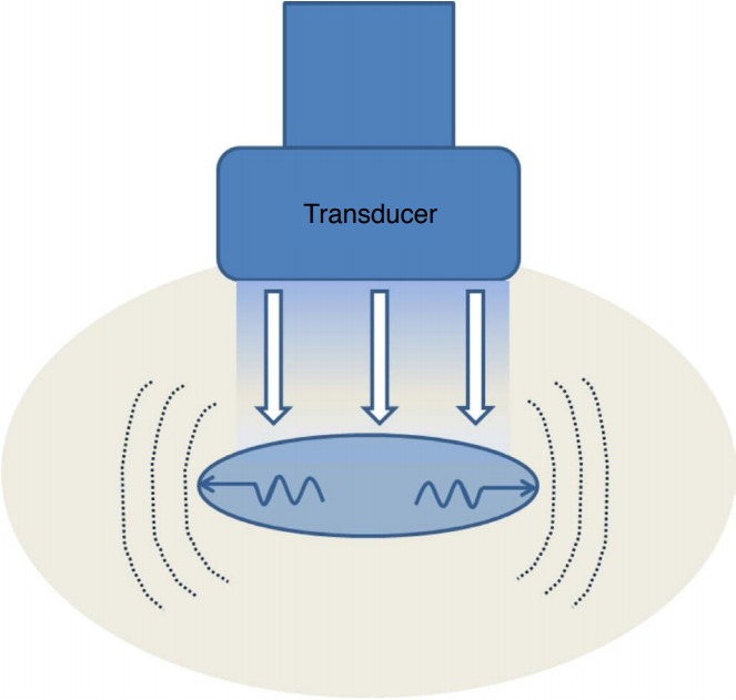 Fig. 1.