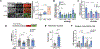 Extended Data Fig. 3 |