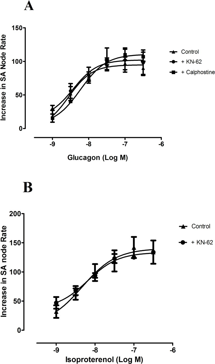 Fig 5