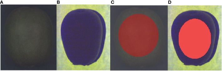 Figure 2