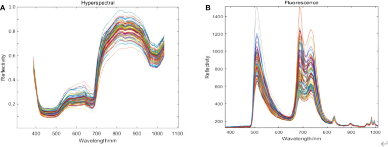 Figure 3