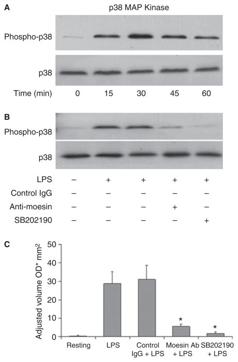 Fig 5