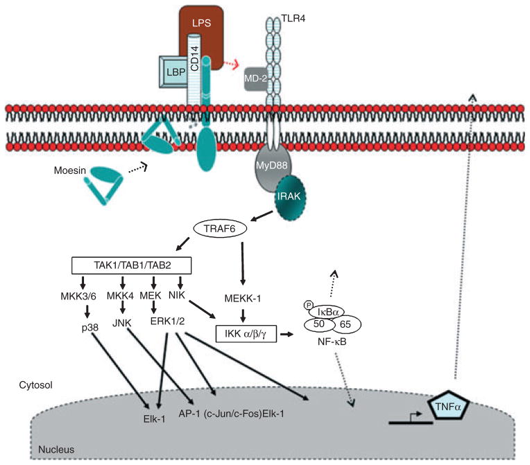 Fig 9