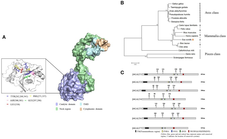 Figure 2