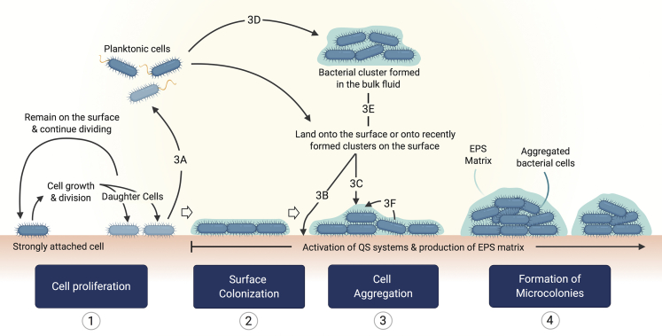 Figure 4