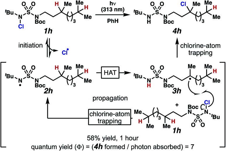 Scheme 4