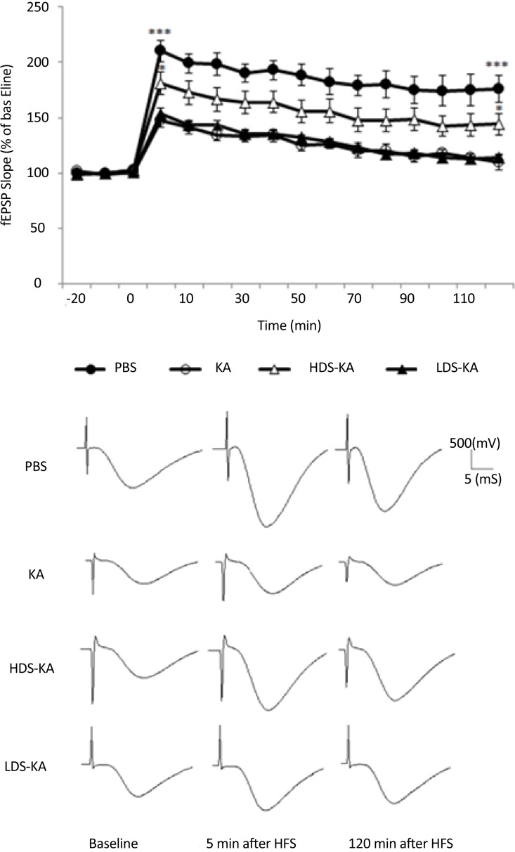 Figure 5.