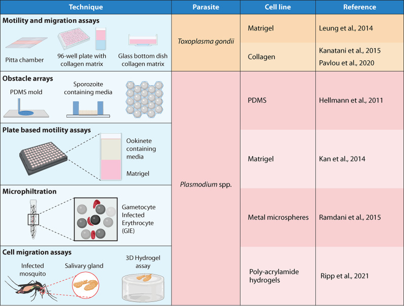 FIG 4