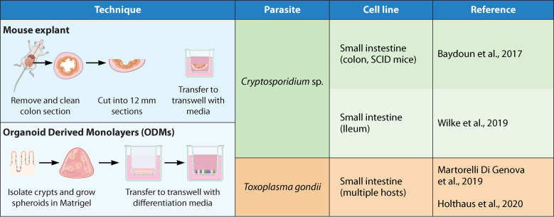 FIG 3