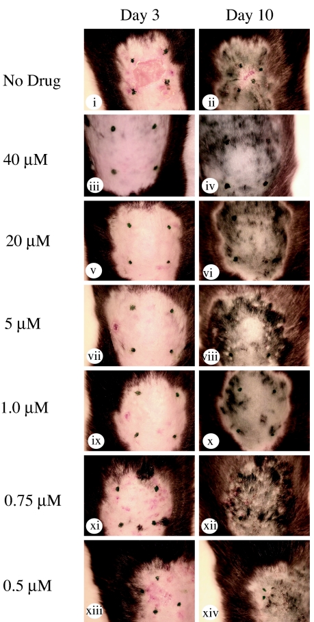 Fig. 3.