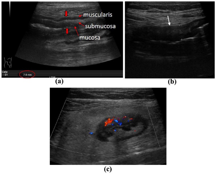 Figure 1.