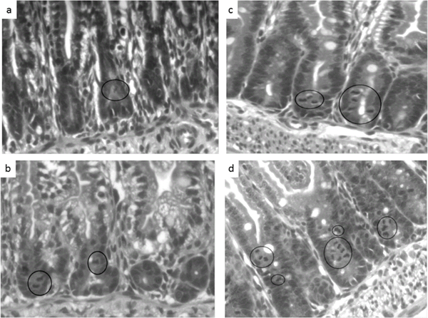 Figure 4: