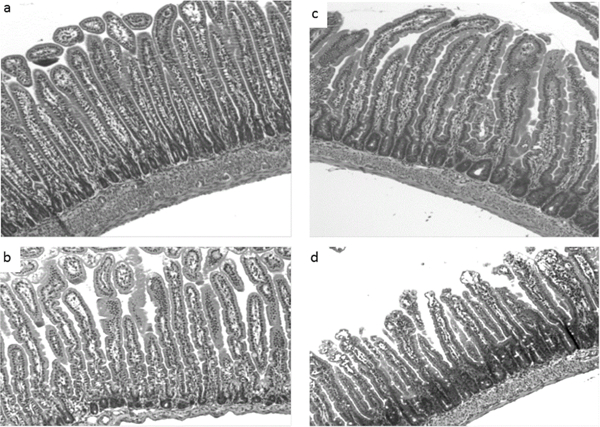 Figure 3: